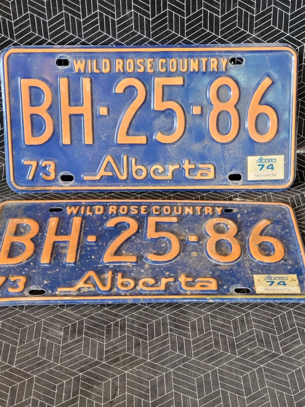 Vintage 1973 Alberta Plates. Oiler Colours